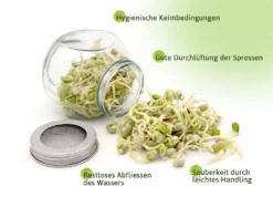 Sprossenglas Duo Set (2x 425 Ml) | Keimgläser Von FLORTUS 12 Sprossenglas Duo Set (2x 425 Ml) | Keimgläser Von FLORTUS -Küche Produkt Geschäft 18594a209d5f52959f1db6efb907a3c1