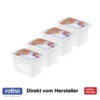 ROTHO Set Gefrierdose 4 X 1 L DOMINO, Farbe:Limettengrün
