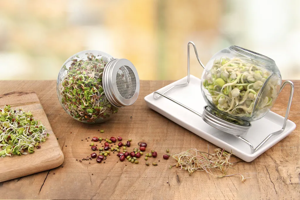 Sprossenglas Duo Set (2x 425 Ml) | Keimgläser Von FLORTUS 5 Sprossenglas Duo Set (2x 425 Ml) | Keimgläser Von FLORTUS – Bild 5