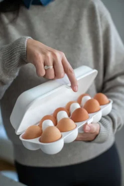 Koziol - Eggs To Go Eierkarton -Küche Produkt Geschäft 440236c4154ac80209cfa5babc4c4974