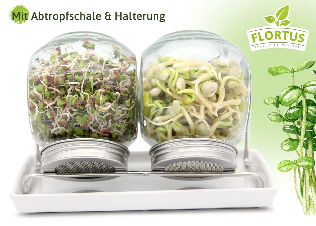 Sprossenglas Duo Set (2x 425 Ml) | Keimgläser Von FLORTUS 3 Sprossenglas Duo Set (2x 425 Ml) | Keimgläser Von FLORTUS – Bild 3
