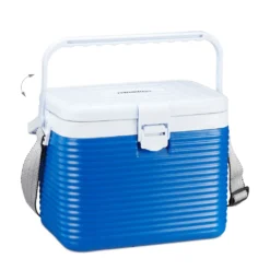 Relaxdays Kühlbox Klein 8 Liter -Küche Produkt Geschäft 53f3e11072c6a09001b01672e6546093