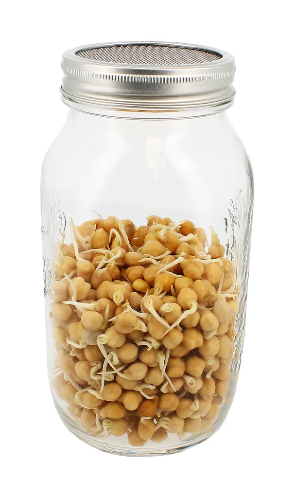 Sprossenglas (1500 Ml) | Sprossengläser Von Eschenfelder 1 Sprossenglas (1500 Ml) | Sprossengläser Von Eschenfelder