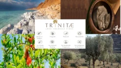 Nachtmann Vorteilsset 2 X 4 Glas/Stck Obstbrand 50/46 Vivendi 89736 Und Gratis 1 X Trinitae Körperpflegeprodukt -Küche Produkt Geschäft 67077e59e1a1032d5c820cf4eae4ab17