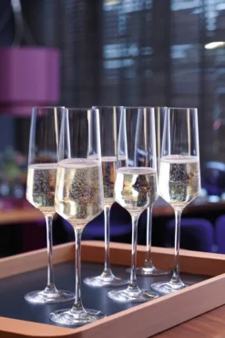 LEONARDO Sektglas PUCCINI 6er-Set 280 Ml, 069550 -Küche Produkt Geschäft 6d191464b7925c9a162effb69855043e