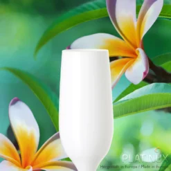 Weiße Sektgläser Set 6 Teilig Champagnergläser 160ml (max. 200ml) Aus Glas -Küche Produkt Geschäft 71e37cf06c21062af65bcb33b4e3921a