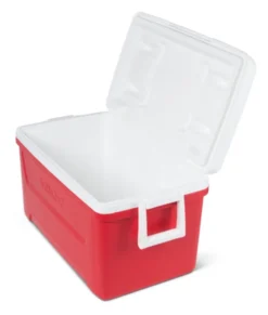 Igloo Kühler Laguna 48passiv 45 Liter Rot 10 Igloo Kühler Laguna 48passiv 45 Liter Rot -Küche Produkt Geschäft c51bb359abd11eef7d7cfe0cb9f15020