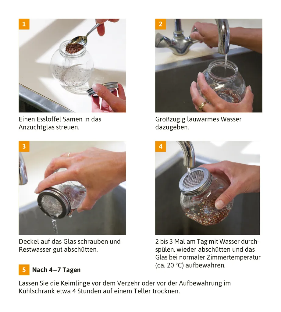 Sprossenglas Duo Set (2x 425 Ml) | Keimgläser Von FLORTUS 4 Sprossenglas Duo Set (2x 425 Ml) | Keimgläser Von FLORTUS – Bild 4