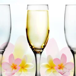 Sektgläser Bunt Aus Glas 150ml (max.190ml) Set 6-Teilig Champagnergläser Prosecco Gläser 12 Sektgläser Bunt Aus Glas 150ml (max.190ml) Set 6-Teilig Champagnergläser Prosecco Gläser -Küche Produkt Geschäft ee679143e6d5b7595a60403f1d118b80